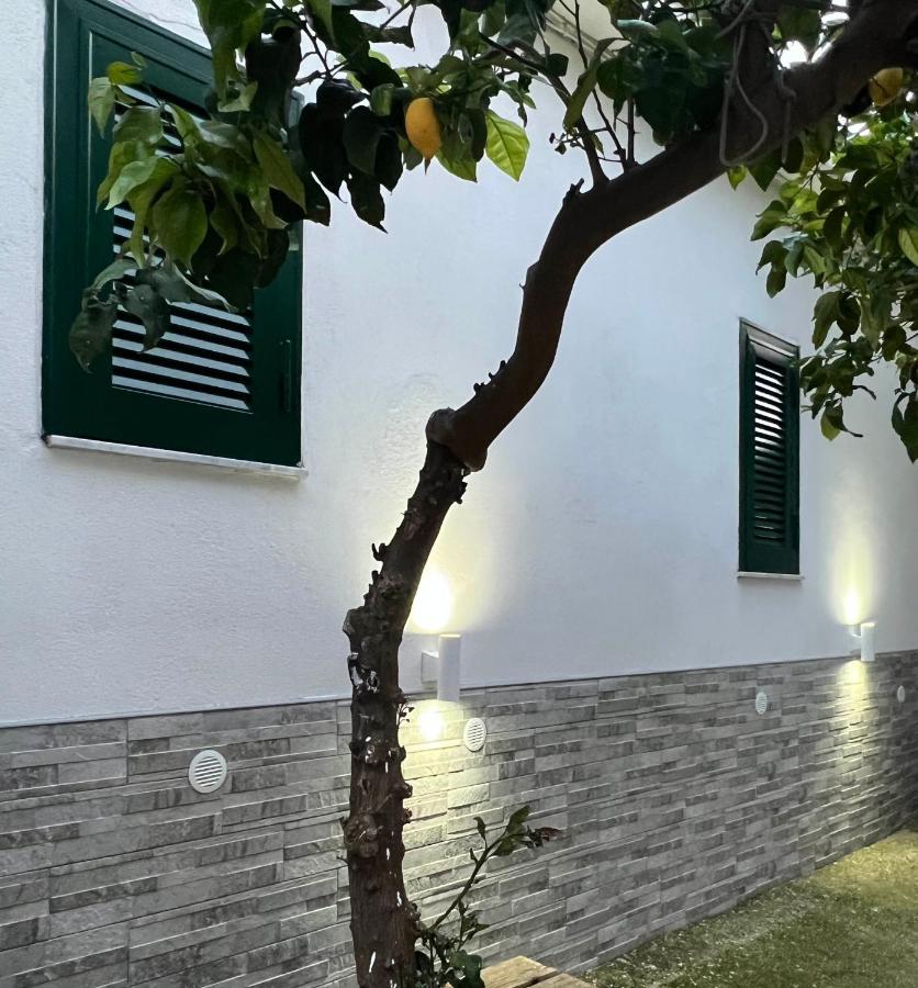 B&B Casa Vacanze Nonna Clara Napoli Bagian luar foto